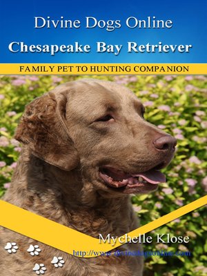 cover image of Chesapeake Bay Retriever